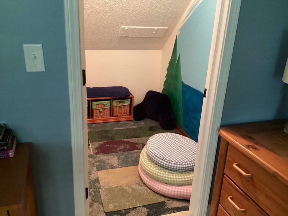 Upper Level Bedroom Play Closet