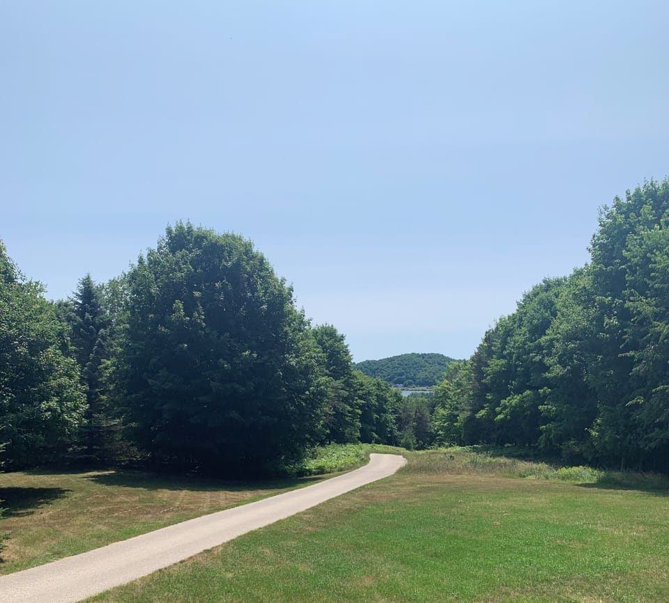Summer view down driveway south toward Elberta hill