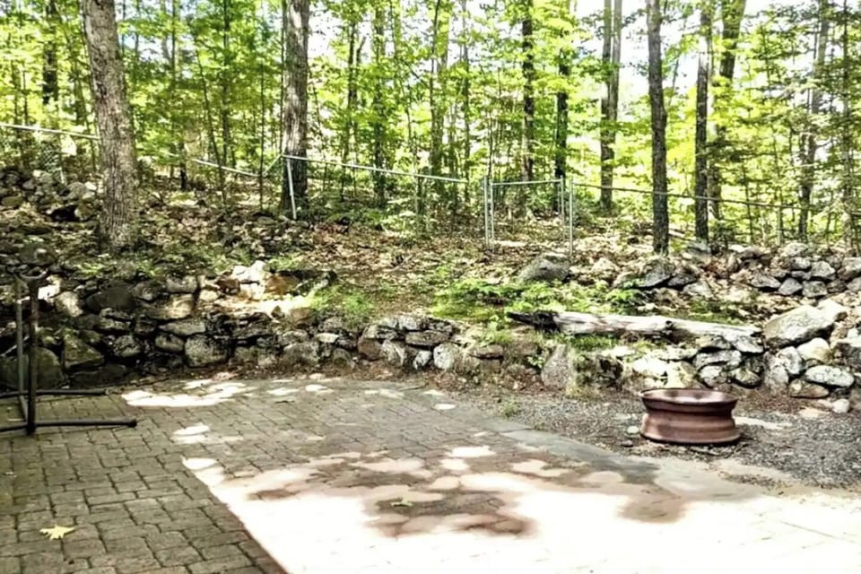 Fenced in backyard, patio & firepit