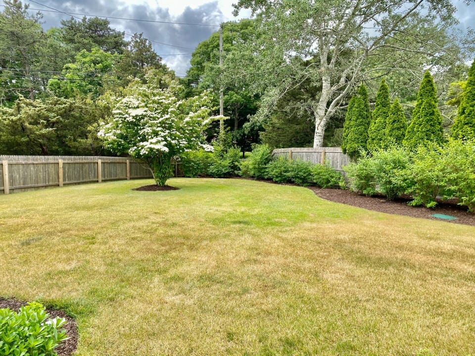 Open, flat backyard