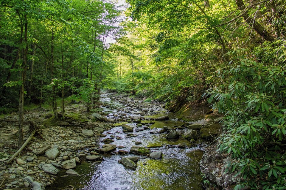 Laurel Creek by the Campground