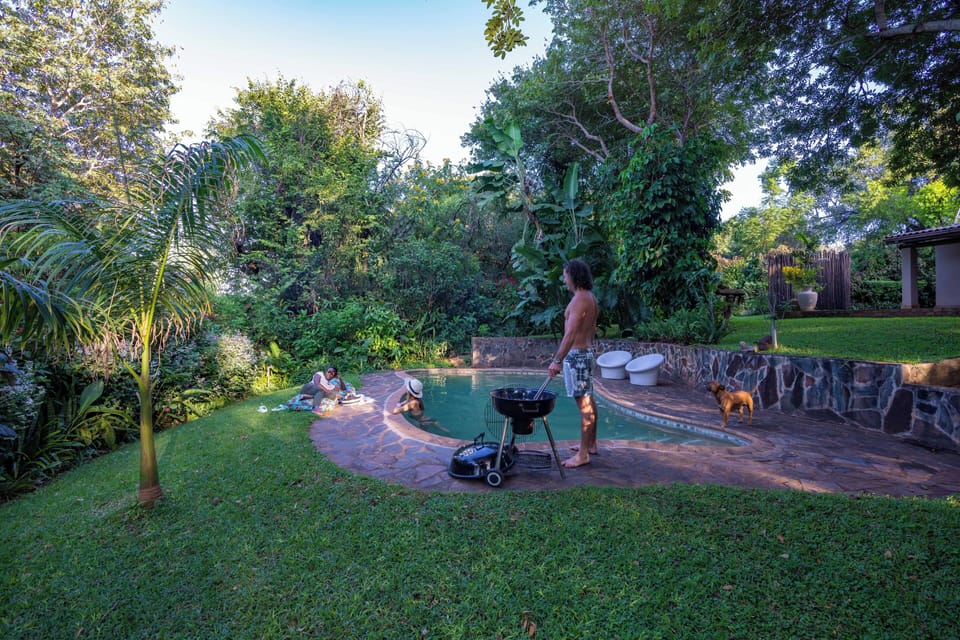 Barbecues at their best