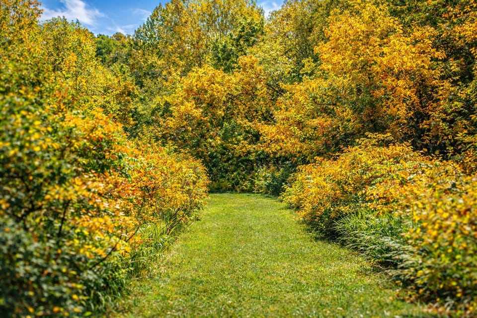 Path to pond and Hocking River