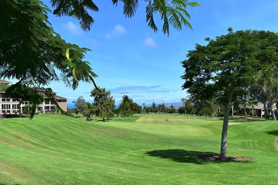 View of the property