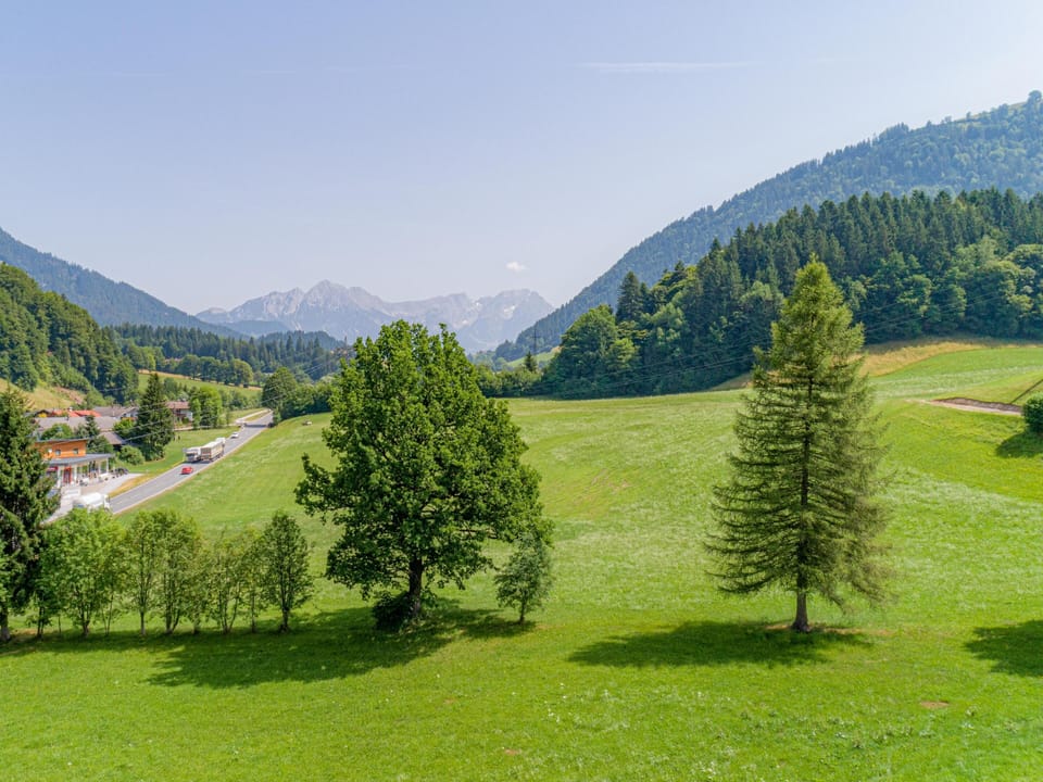 View from Holiday Home [summer]