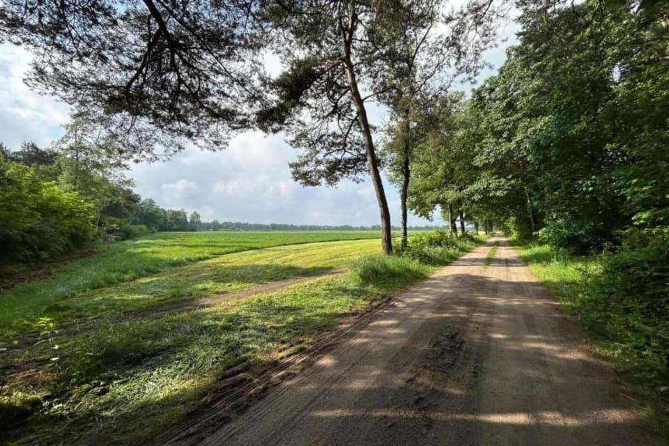 Region [summer] (>5 km)