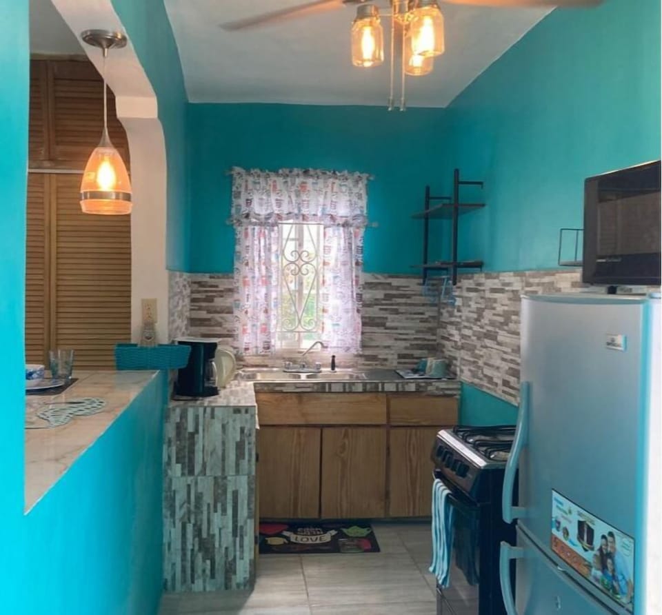 Indoors, Home Decor, Floor, Refrigerator, Ceiling Fan