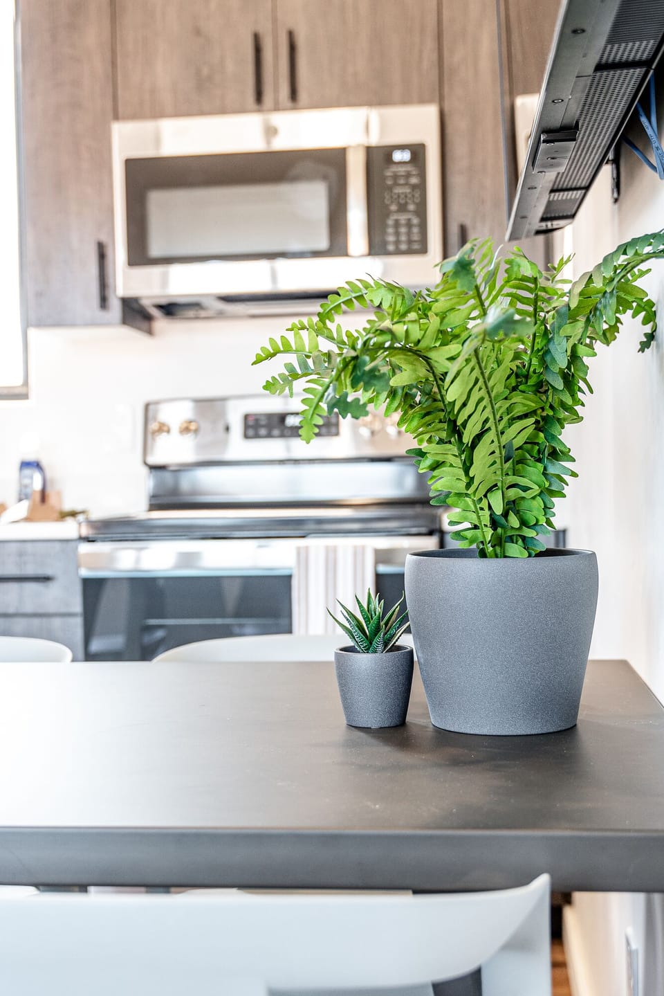Living Space