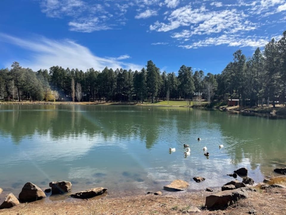 Lake 2 min walk from house