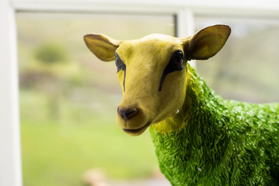 Walltown Farm Cottage - bold and eye-catching dÃ©cor runs throughout the cottage