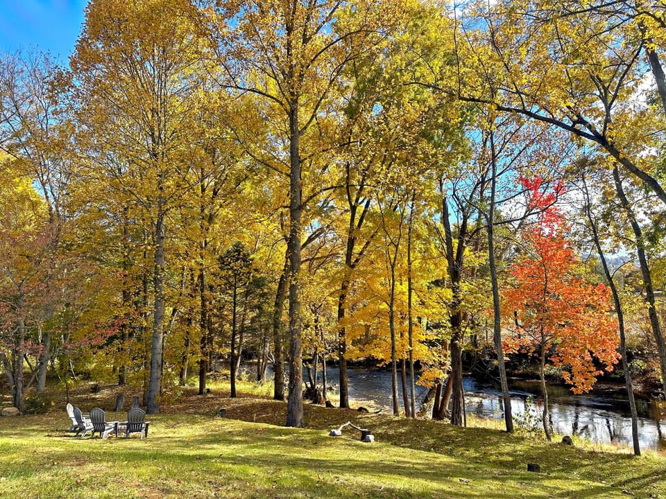 Take in the Beautiful Fall Foliage and Flowing River
