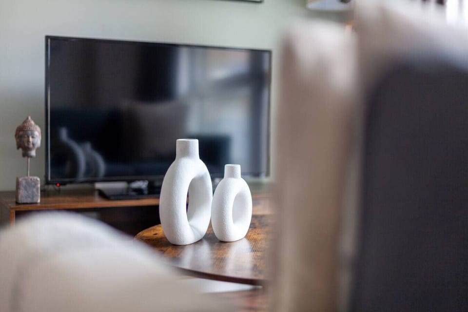 Television