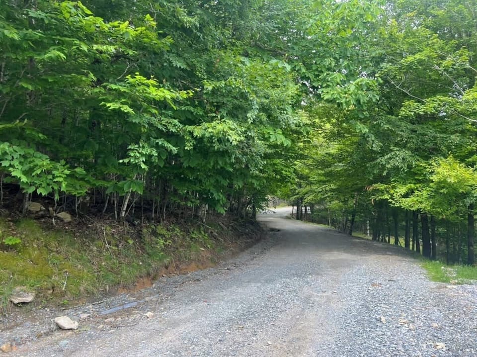 Street