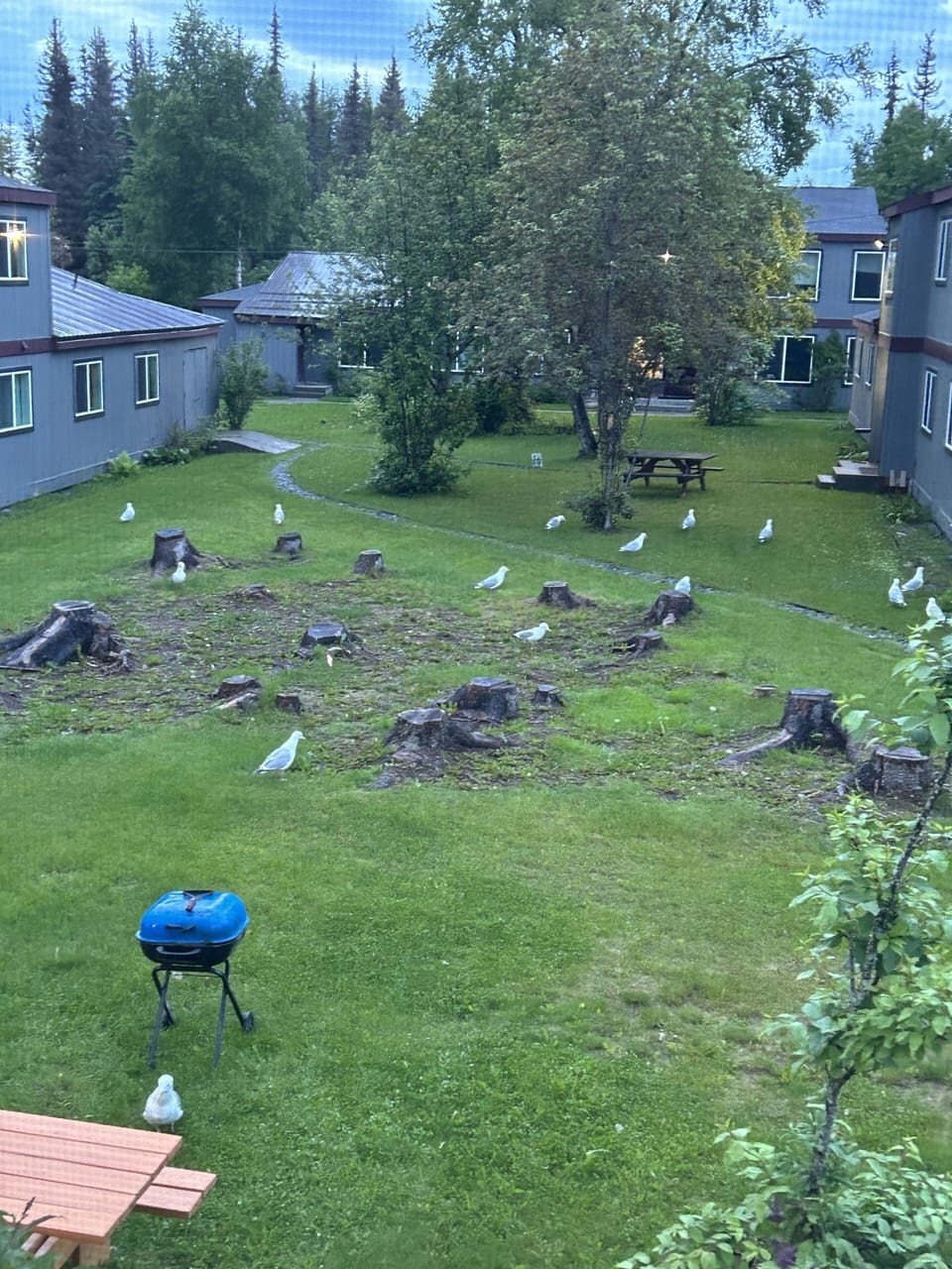 Property grounds