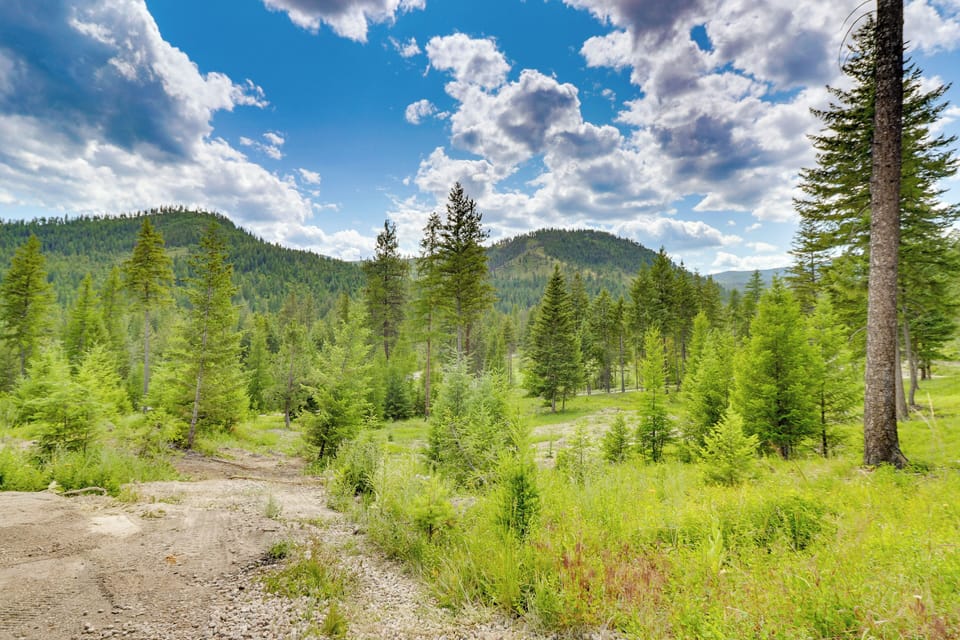 Property Surroundings