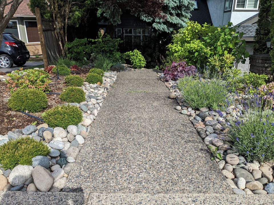 Front yard