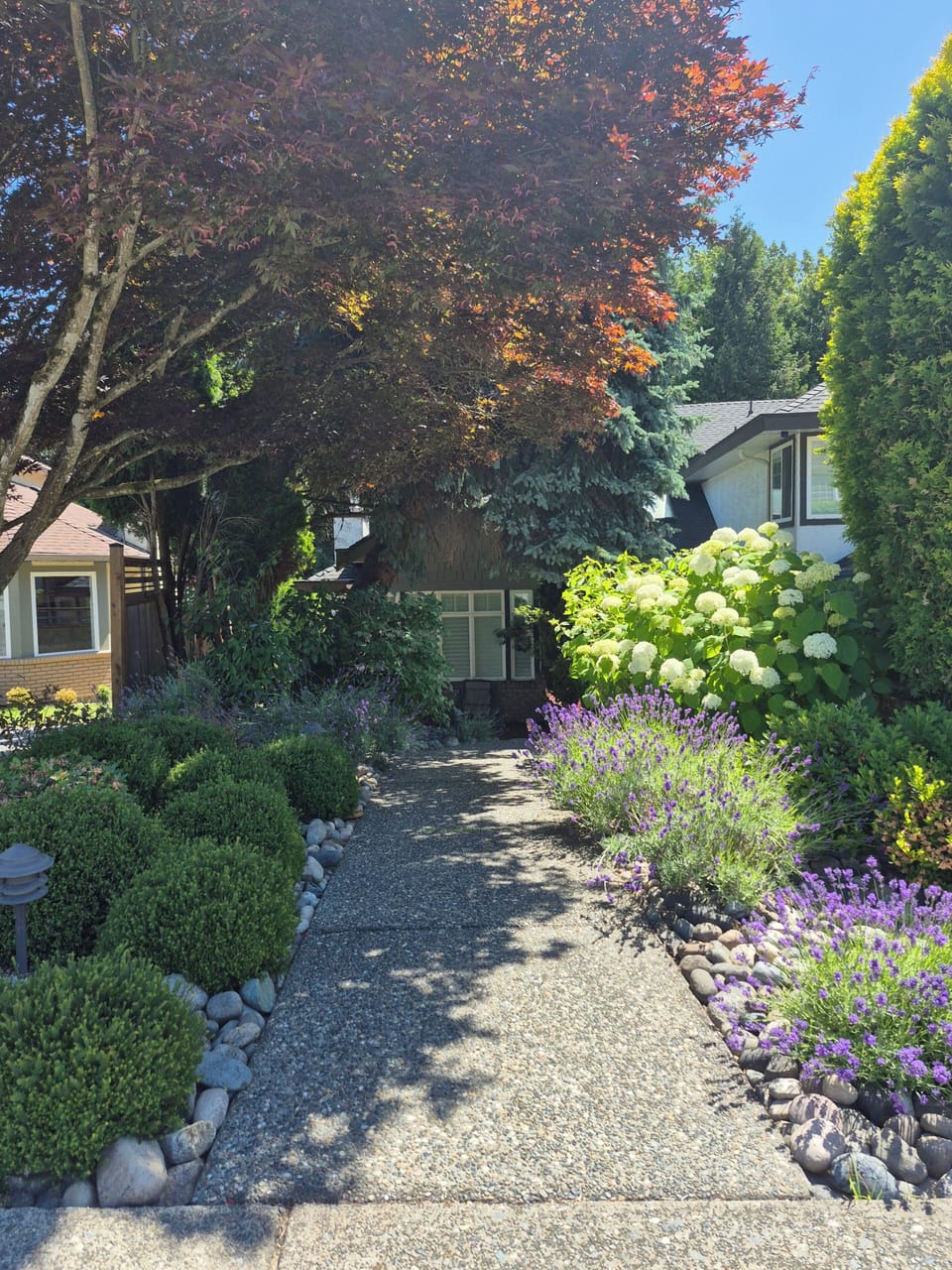 Front yard