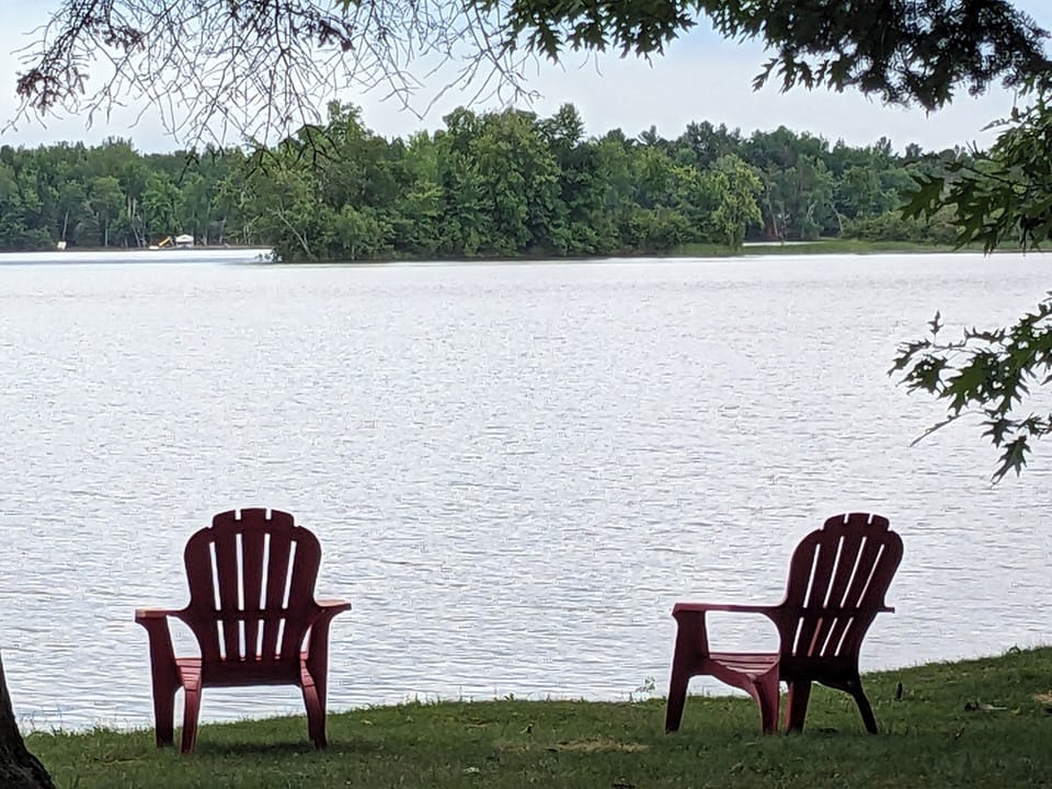 Shoreline view
