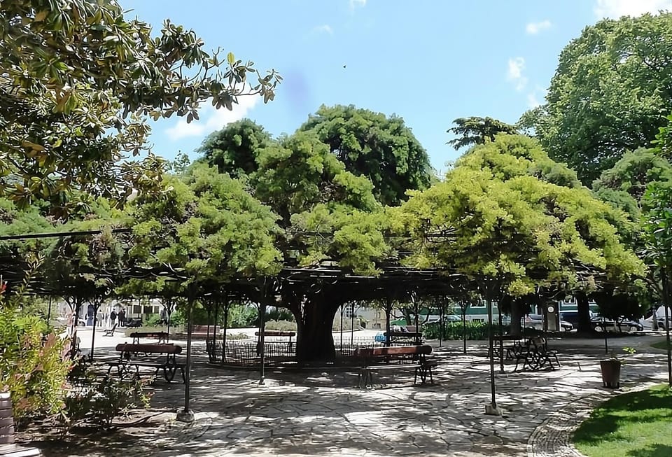 Príncipe Real Garden