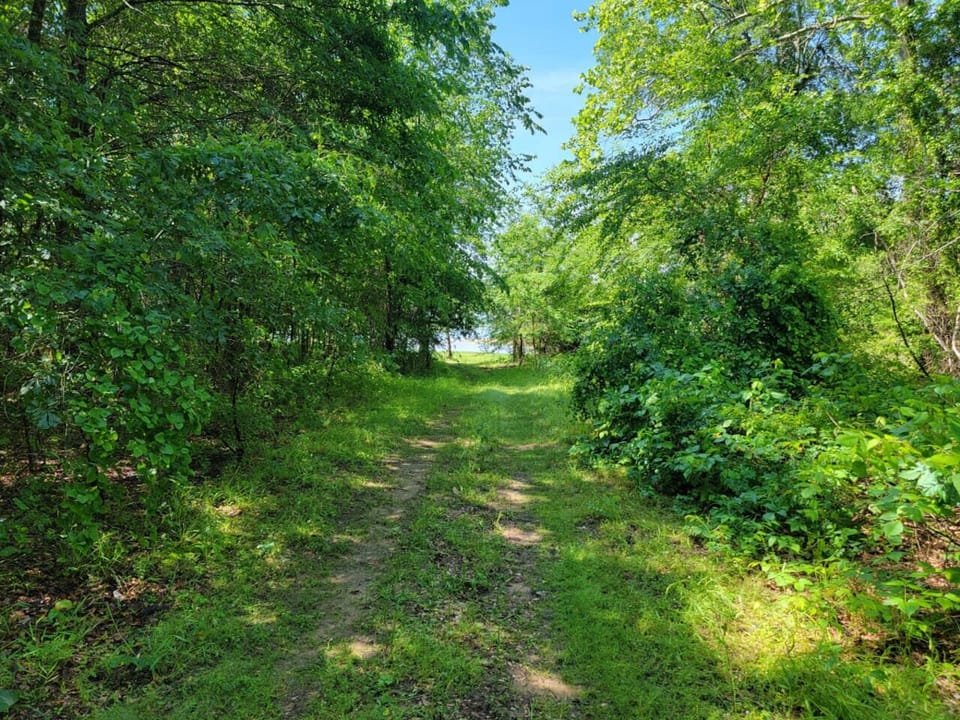 Explore the hidden path behind the house to a secluded beach tha most cannot get to.
