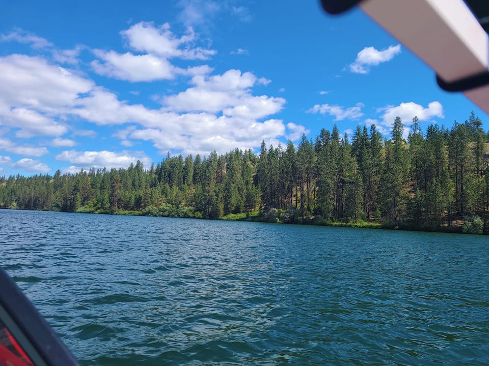 Photo taken from owners boat at Riverside State Park, near boat launch ramp.