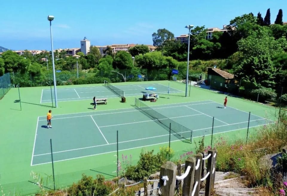 Sport court