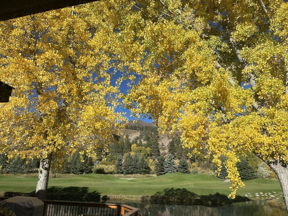 View from property
