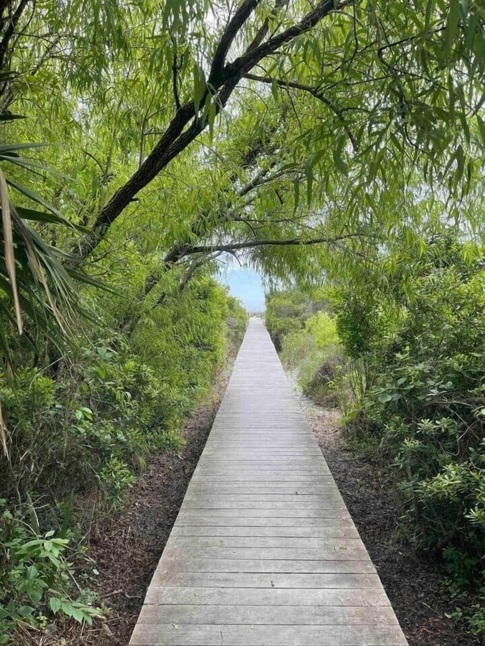 Paradise awaits ~ private community boardwalk 