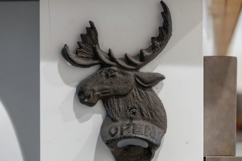 Loose Moose Cabin #9