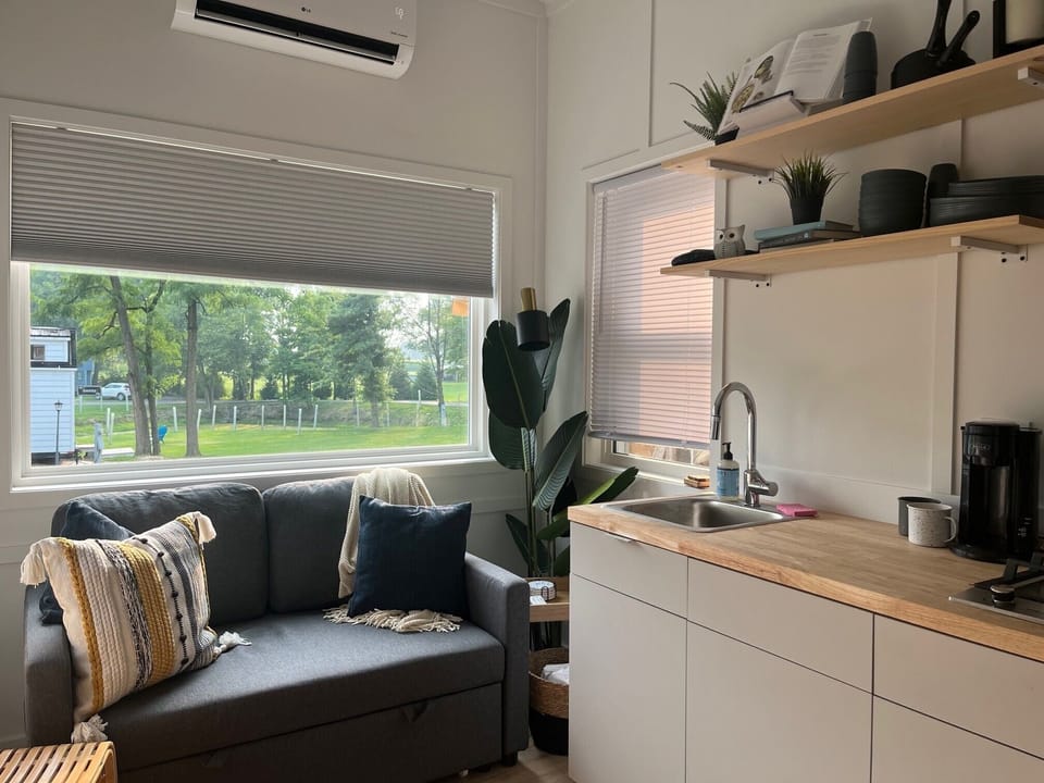 living room with sleeper sofa