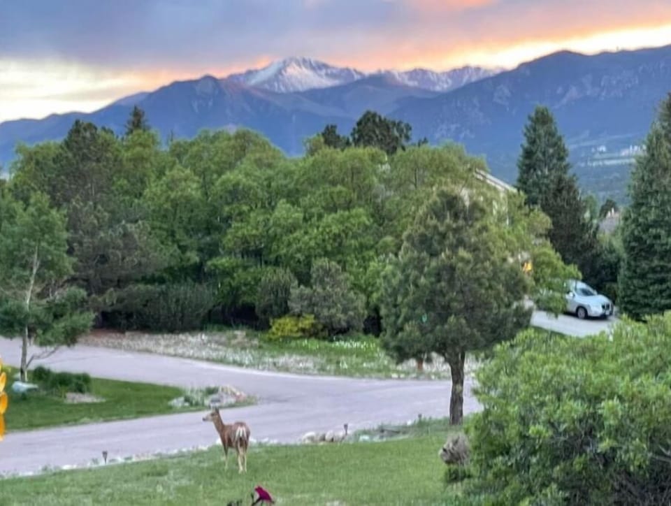 That is Pikes Peak, with a bit of early snow.  To the right is the AFA