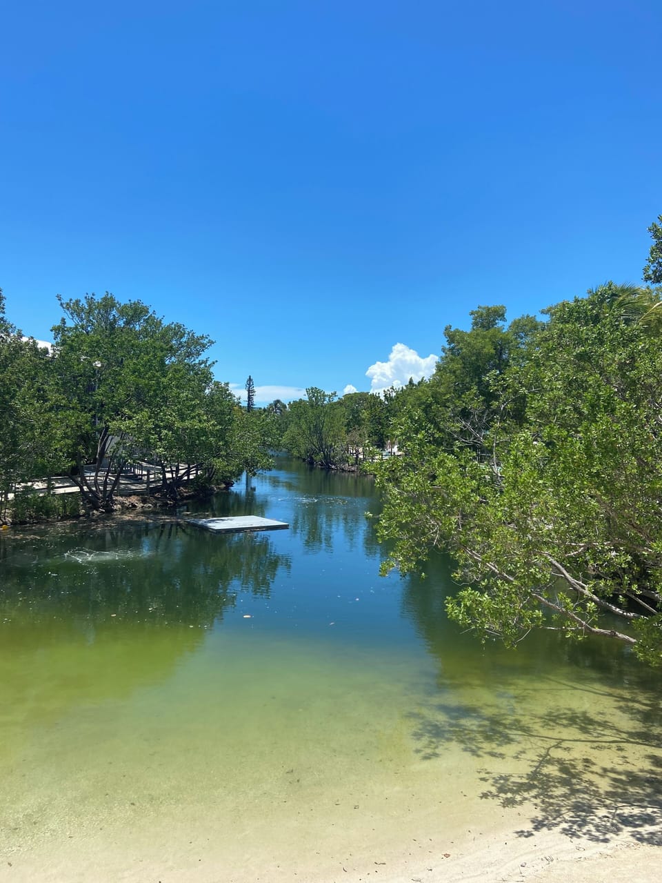 Lagoon beach