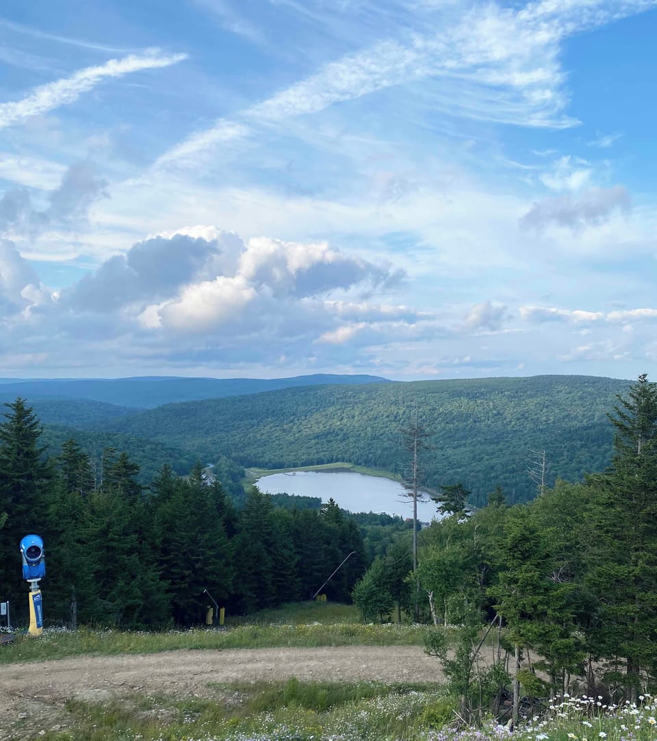 View to Shaver's Lake