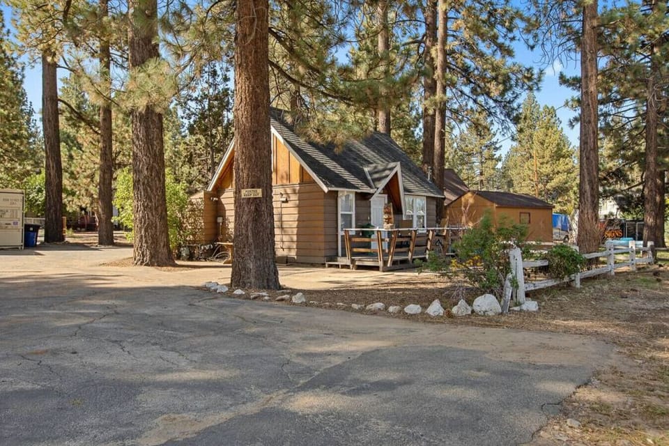 Bear Sky Cabin immersed in nature with trees all around.
