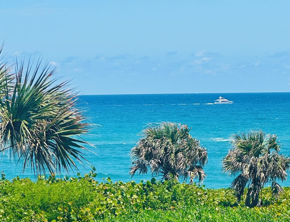 Beautiful ocean views