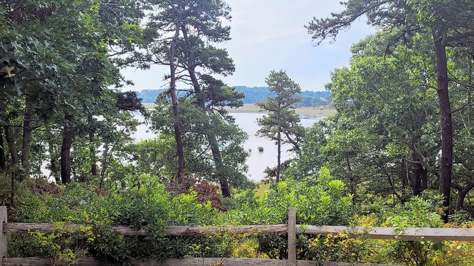 Wonderful views of Drummer Cove from the house and deck