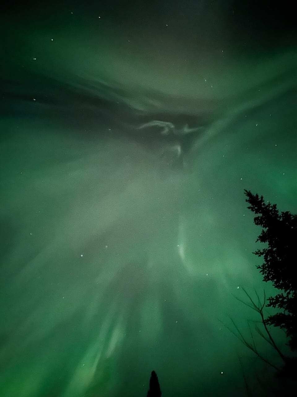 Aurora at the property