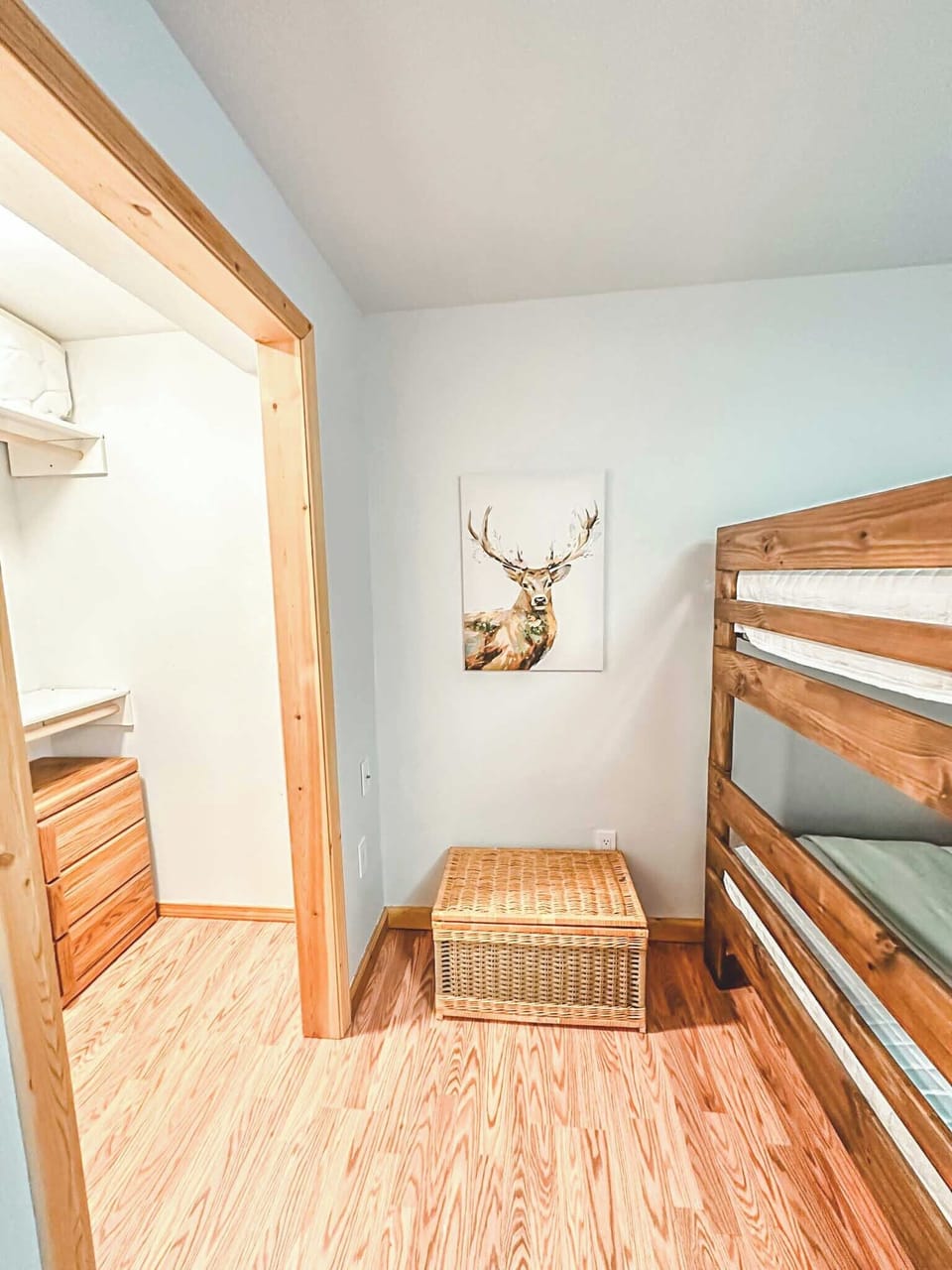Bunk Room (walk-in closet)