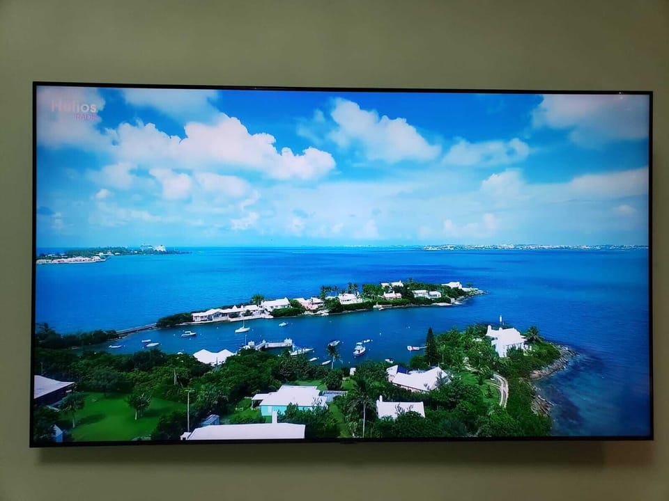 Television