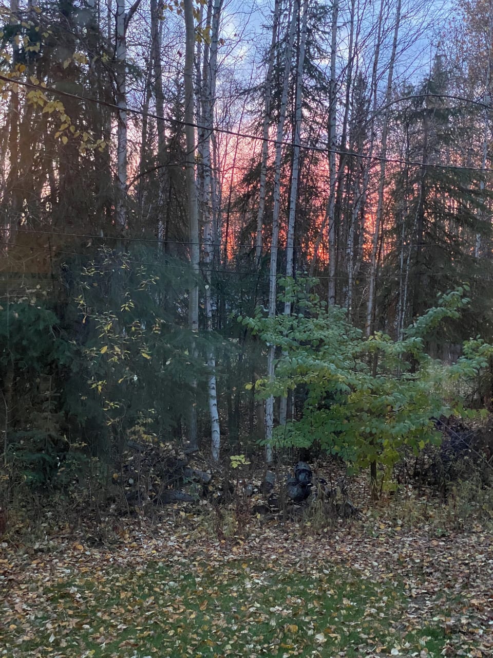 Miscellaneous