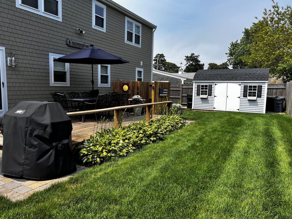 Back yard