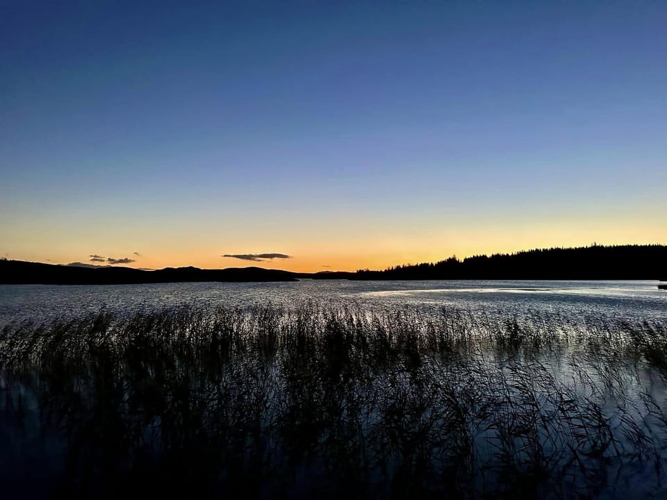 Watching the world go by at sunset.