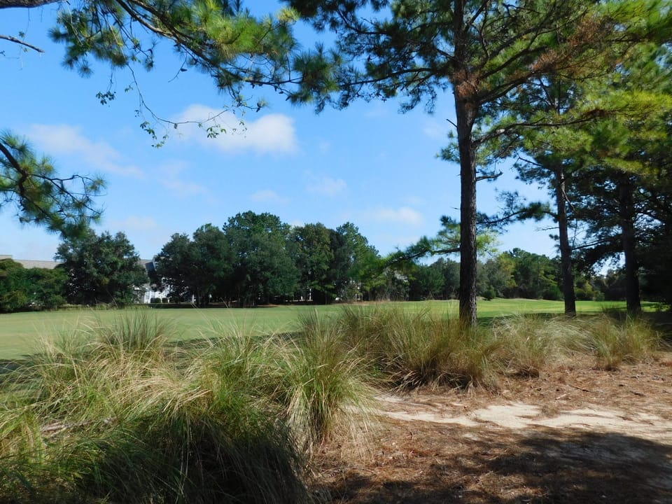 Golf Course View