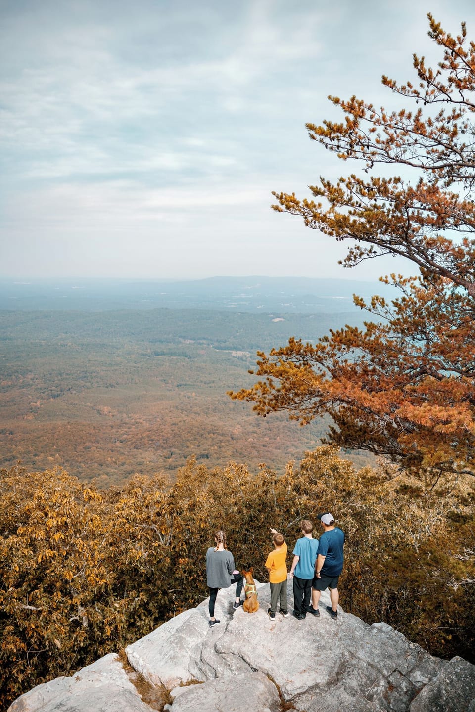 deea14bf-7b8b-457f-971b-bc0f8fa34273