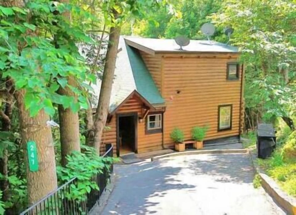 Front Driveway (3)