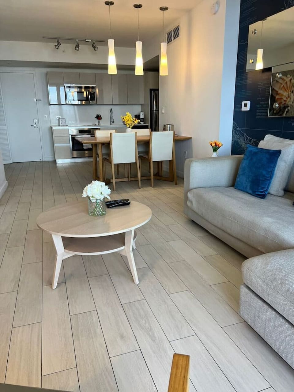 General layout of the apartment