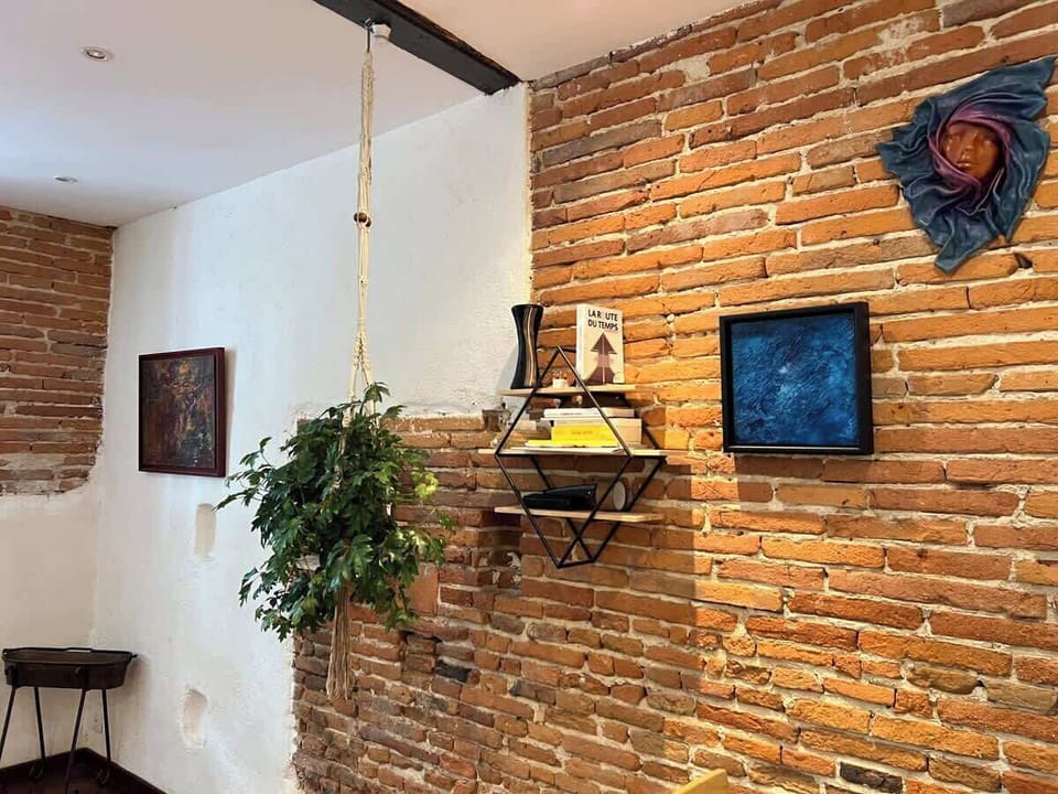 Mur en brique toulousaine avec étagère décorative et plante suspendue