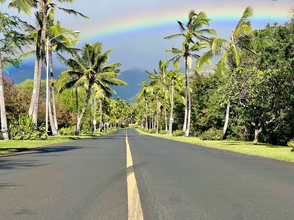 Private road leading to the private community in which the home is located.