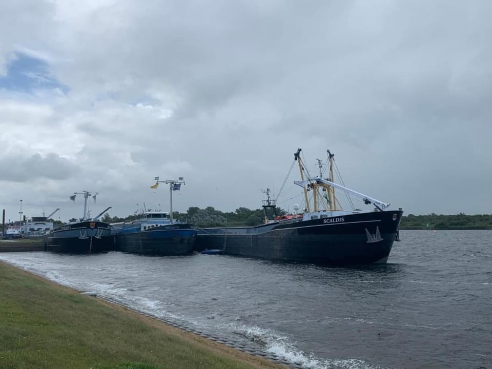 Region [summer] (>5 km)