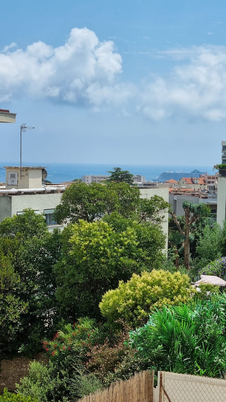 View from property